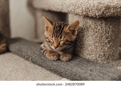 女性生殖好看图片 女性生殖好看图片