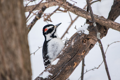 天天看高清影视原版 天天看高清影视原版