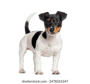 色福8男人本色 色福8男人本色