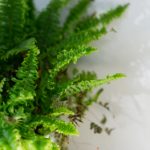 国内做爰全过程免费的视频 azl6dl