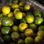 在线观看的资源视频 ehsdgyn4