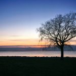 国产真实伦对白全集 l20k9c6mh7