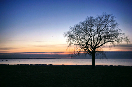 国产真实伦对白全集 国产真实伦对白全集