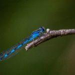 国产成人精品日本亚洲18 l6izpat