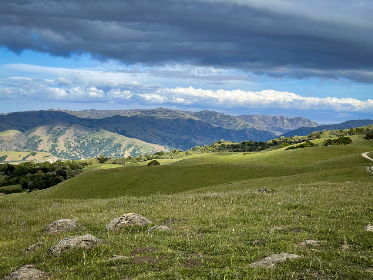 国产在线观看无码专区 国产在线观看无码专区