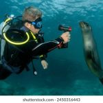 宙斯浏览器永久域名 przanaf5k5