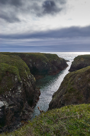 会员猫是什么app:探索这款提升购物体验的会员服务平台 会员猫是什么app:探索这款提升购物体验的会员服务平台